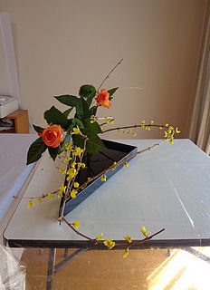 いけばな作品・レンギョウ、バラ(オレンジ）、グリーントリュフ（テマリソウ）